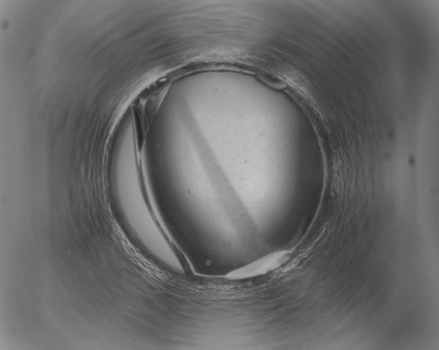 X0000056000976200509021659