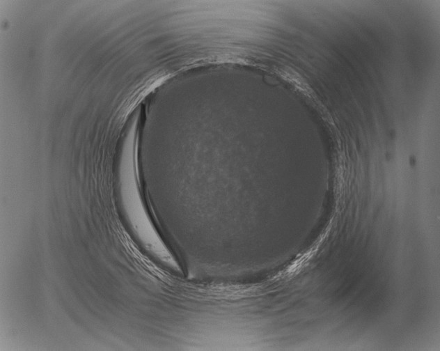 X0000056000977200509021659