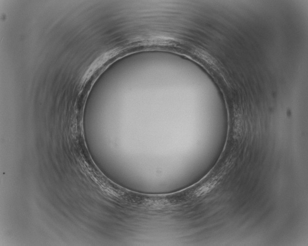 X0000056000978200509021659