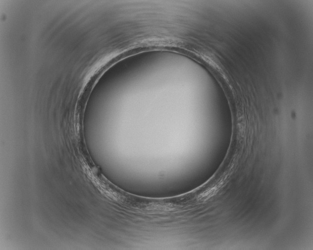 X0000056000981200509021659