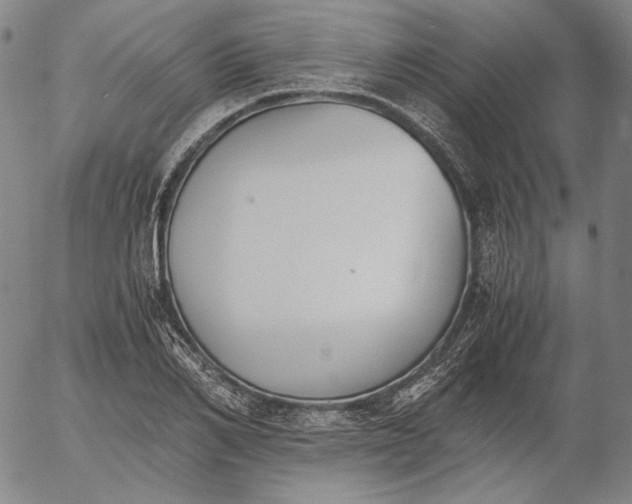 X0000056000982200509021659