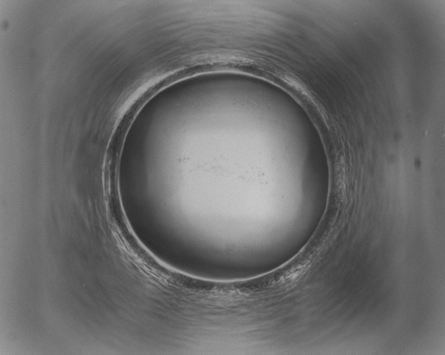 X0000056000983200509021659