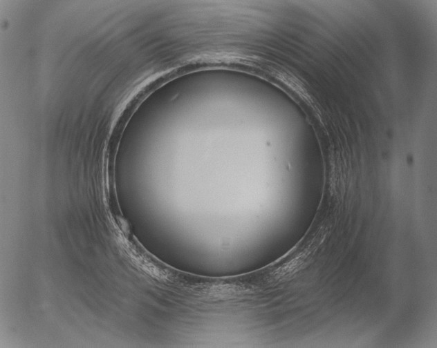 X0000056000984200509021659