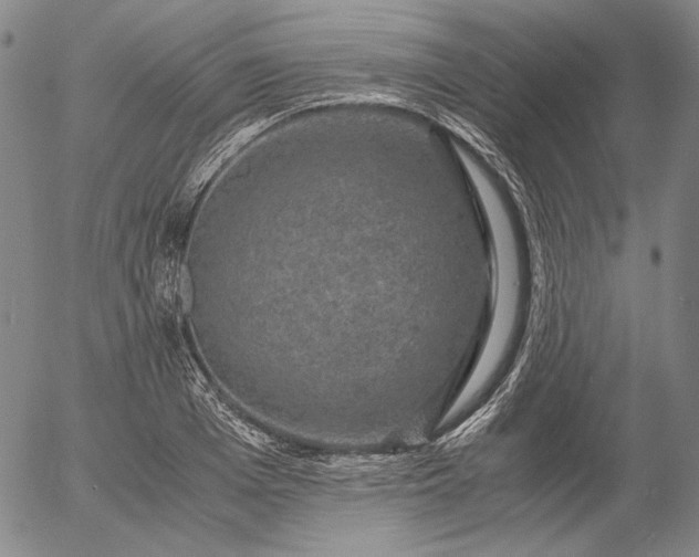 X0000056000985200509021659