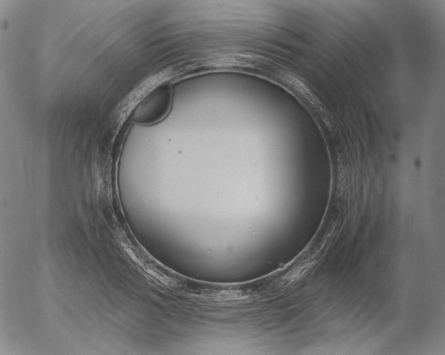 X0000056000986200509021659