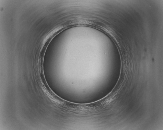 X0000056000987200509021659