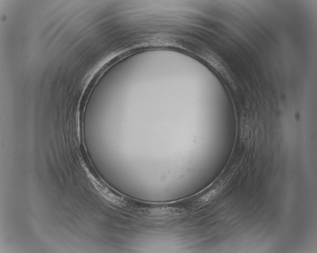 X0000056000988200509021659