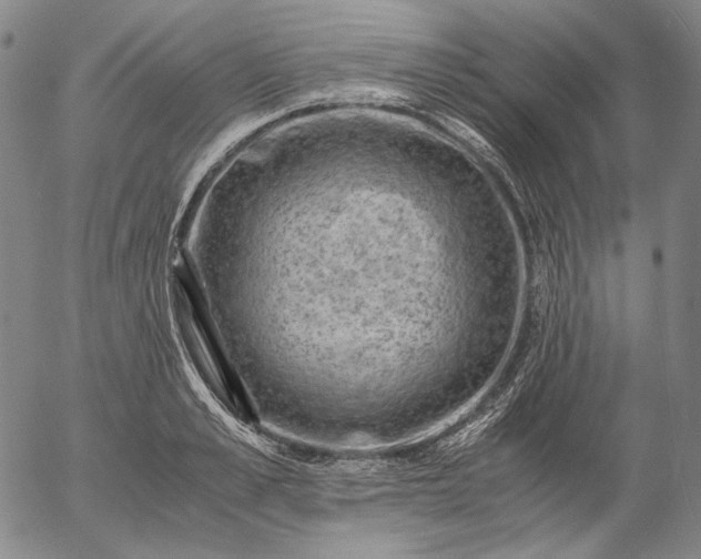 X0000056000989200509021659