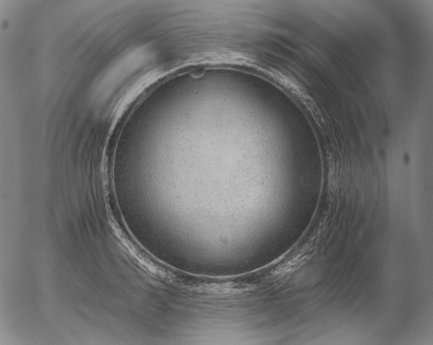 X0000056000990200509021659