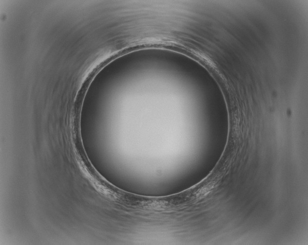 X0000056000991200509021659