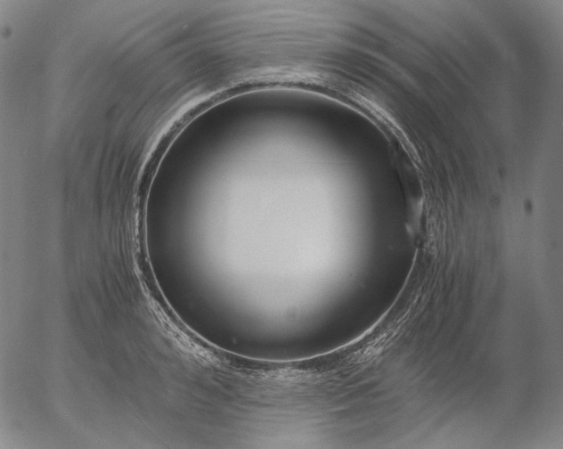 X0000056000992200509021659