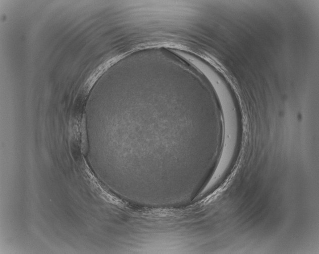 X0000056000993200509021659