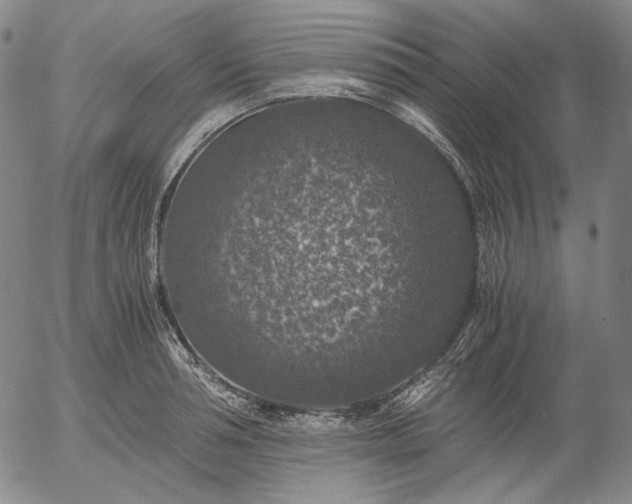 X0000056000994200509021659