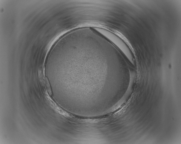 X0000056000996200509021659