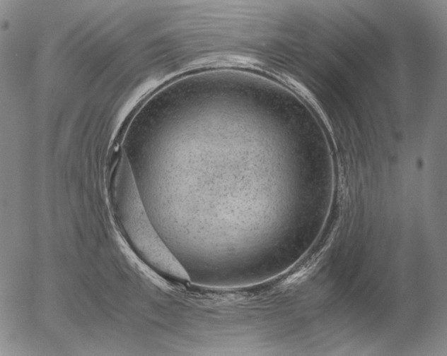 X0000056000997200509021659