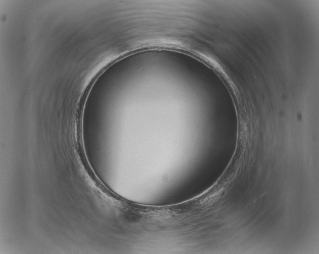 X0000056000999200509021659