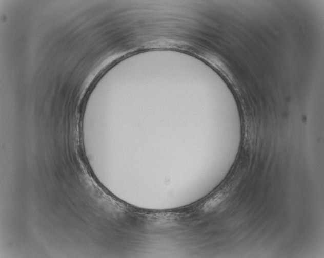 X0000056001000200509021659