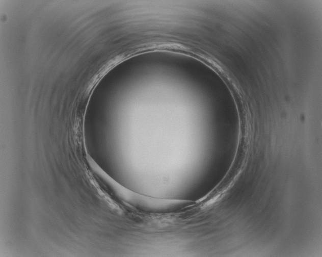 X0000056001001200509021659