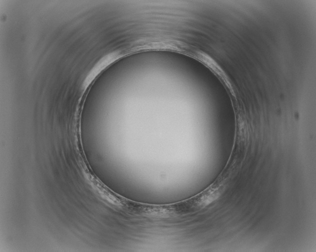 X0000056001002200509021659