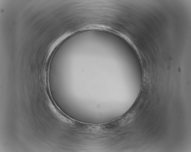 X0000056001003200509021659