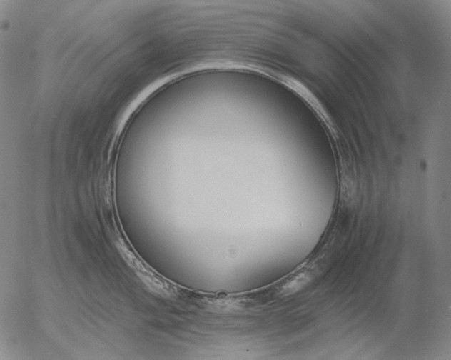 X0000056001004200509021659