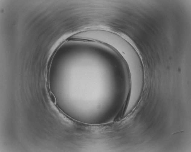 X0000056001005200509021659