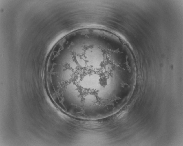 X0000056001007200509021659