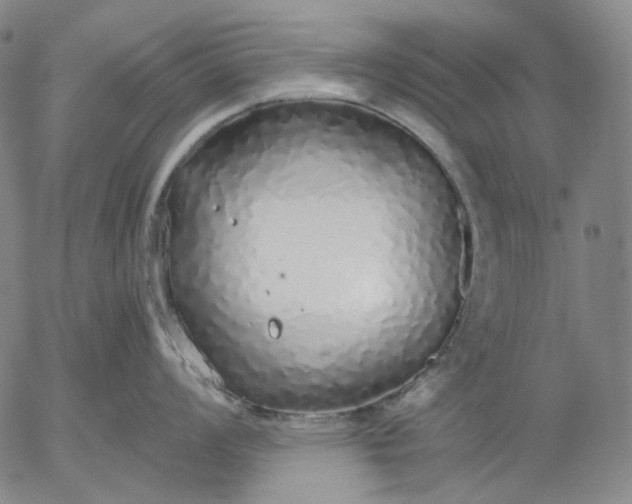 X0000056001008200509021659