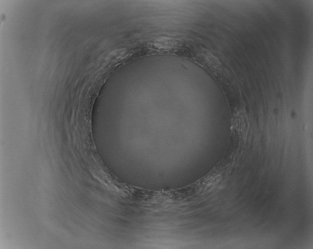 X0000056001009200509021658