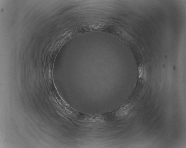 X0000056001011200509021658