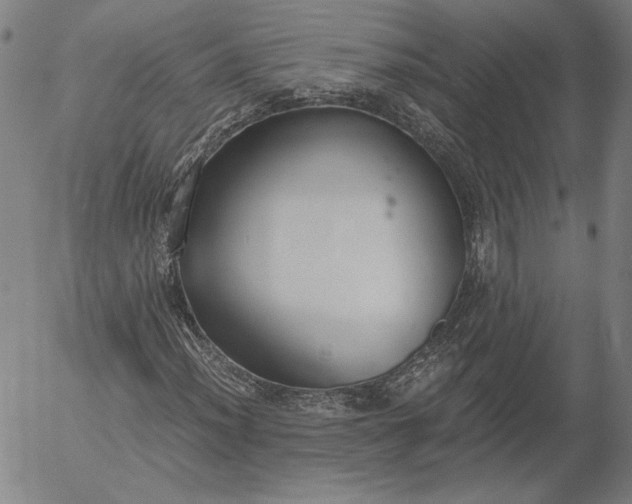 X0000056001012200509021658