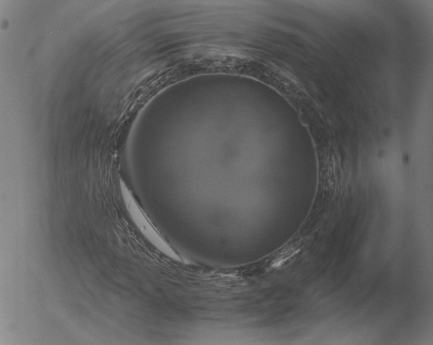 X0000056001013200509021658