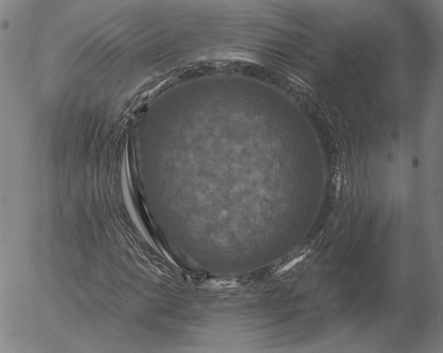 X0000056001014200509021658