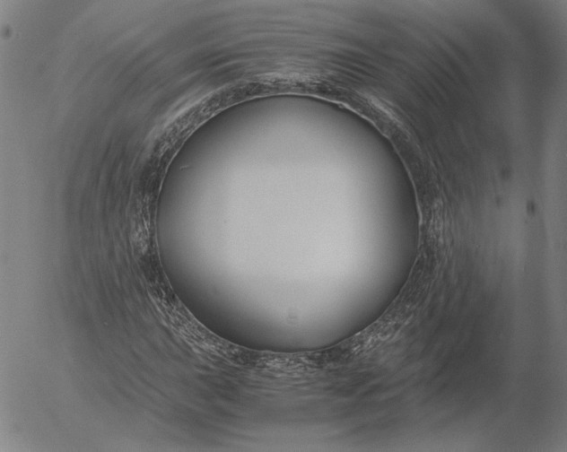 X0000056001015200509021658