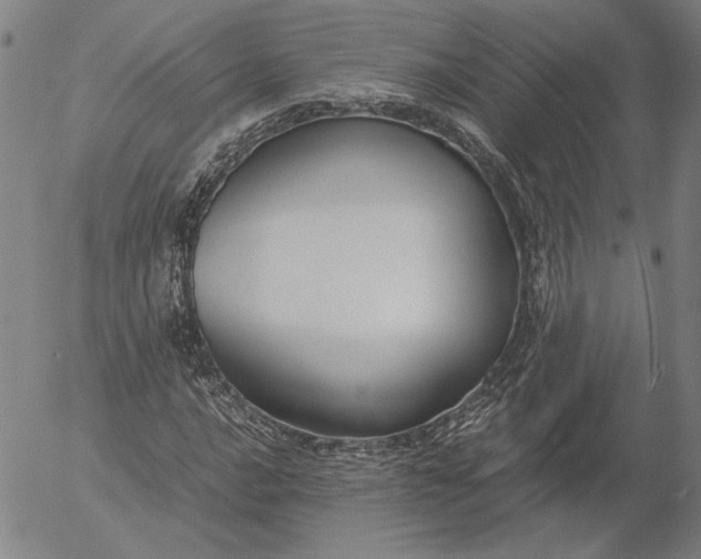 X0000056001016200509021658