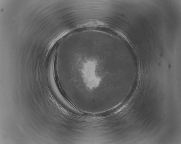 X0000056001018200509021658