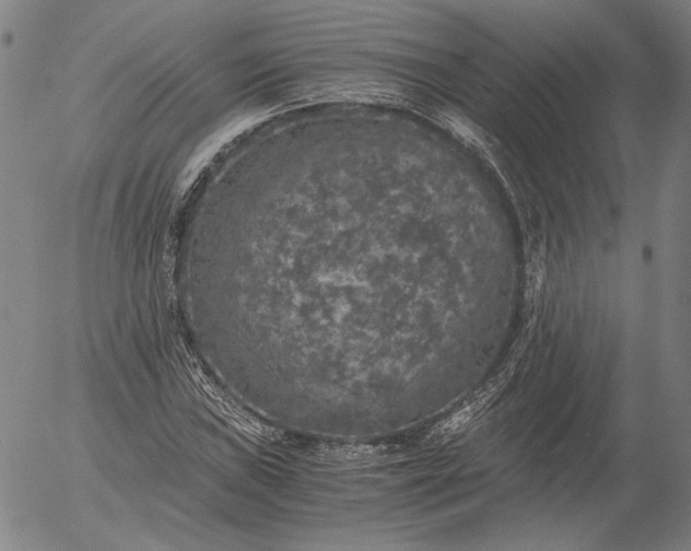 X0000056001019200509021658