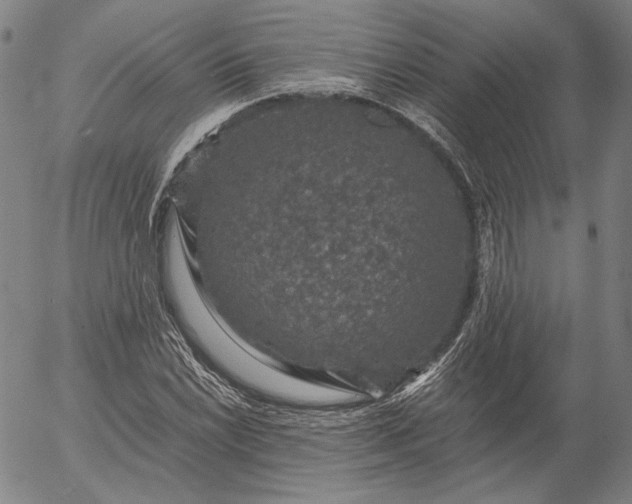 X0000056001022200509021658