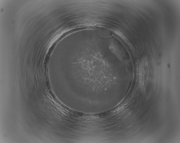 X0000056001023200509021658