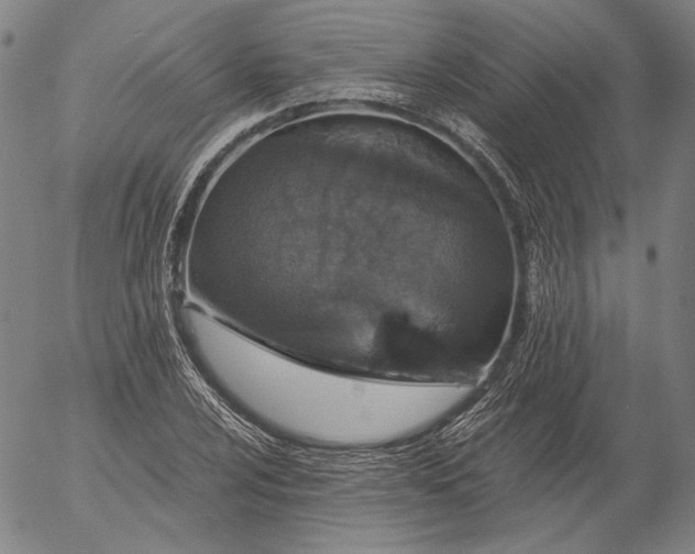 X0000056001024200509021658