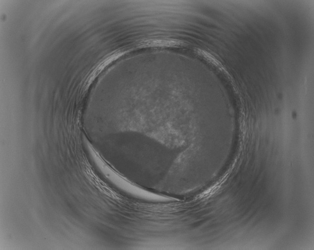 X0000056001025200509021658