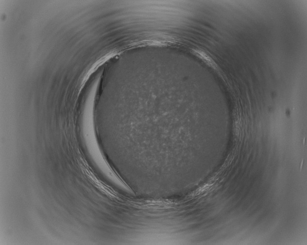 X0000056001026200509021658