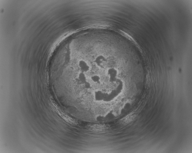 X0000056001027200509021658