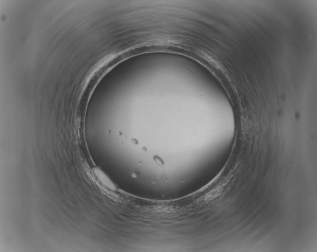 X0000056001029200509021658