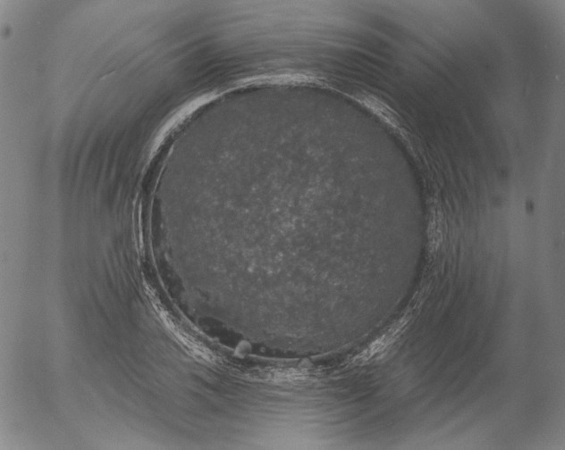 X0000056001030200509021659