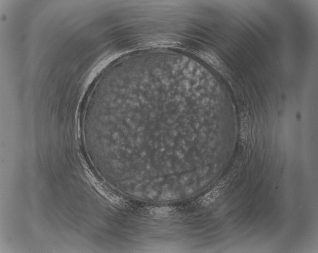 X0000056001031200509021659