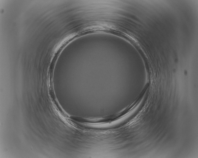 X0000056001034200509021659