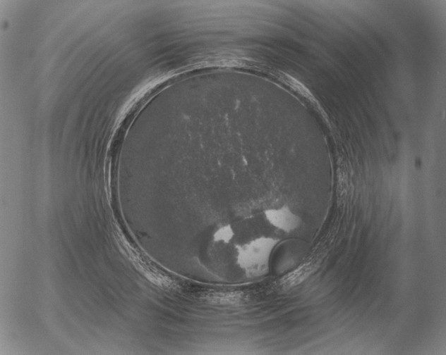 X0000056001035200509021659