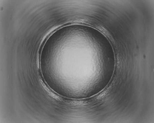 X0000056001036200509021659