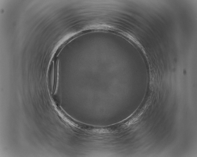 X0000056001037200509021659